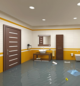 avoid mold, mildew with flood water removal
