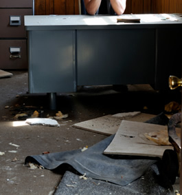 garbage stains, ink, burn marks, animal feces or urine stains