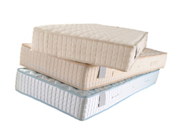 mattress cleaning, bed bugs